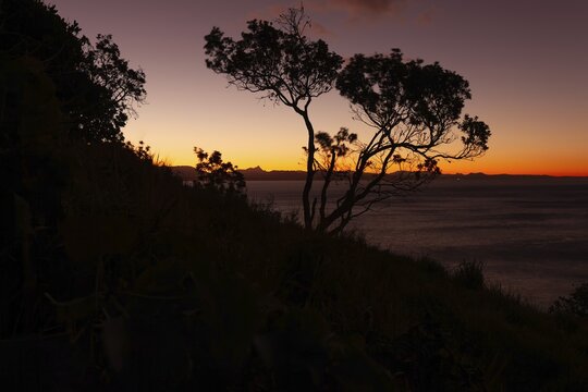 Evening red sky at Wategos Beach with tree on rocks and Mount Warning behind the hinterland, New South Wales, Australia