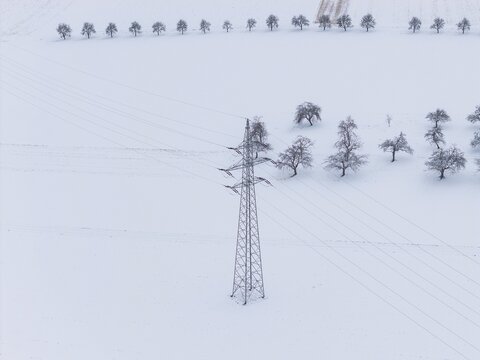 Single power pole on a white snowfield with scattered trees in the background, substation, Jettingen, Germany
