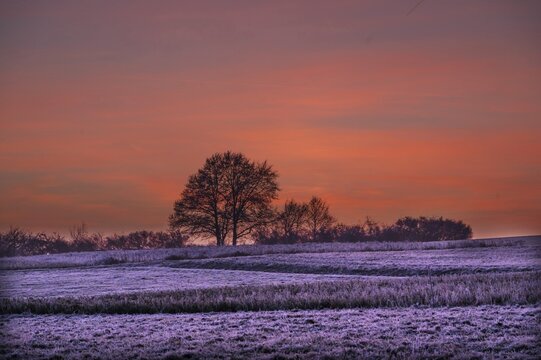 Evening landscape with hoarfrost on the fields, Franconia, Bavaria, Germany