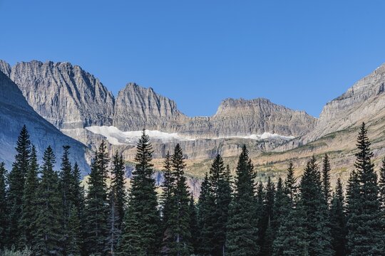 240831_117 Ice deposits in the rugged mountains behind the pine forest along the Lake Josephine shoreline in Glacier National Park, Montana, USA