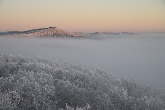 Snowy range of hills with frosty trees in the morning light, Hermannsweg an der Steinegge, Dissen am Teutoburger Wald, Lower Saxony, Germany