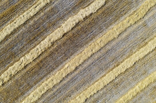 Bales of straw and abstract patterns in cornfield after wheat harvest, aerial view, drone shot, C&oacute;rdoba province, Andalusia, Spain