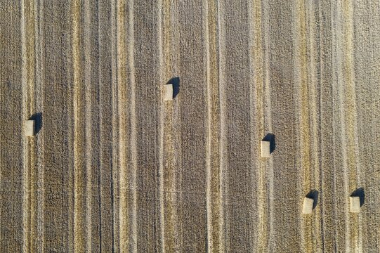 Bales of straw and abstract patterns in cornfield after wheat harvest, aerial view, drone shot, C&oacute;rdoba province, Andalusia, Spain