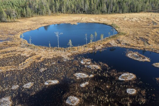 Drone shot, aerial view, close-up, wetland, bog in autumn with hoarfrost, Lapland, Finland
