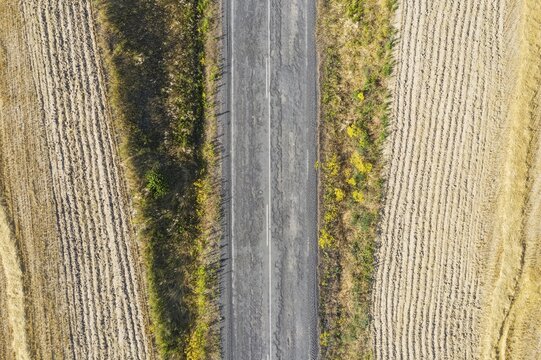Rural road and patterns in cornfield after wheat harvest, aerial view, drone shot, C&oacute;rdoba province, Andalusia, Spain