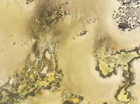 Marshland at low tide. Nature Reserve La Bre&ntilde;a y Marismas del Barbate. Aerial view. Drone shot. C&aacute;diz province, Andalusia, Spain