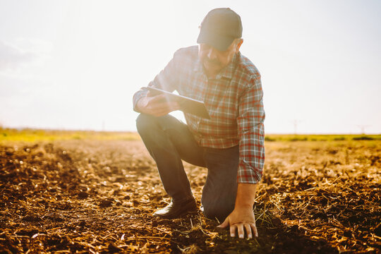 A farmer works in a field with a digital tablet. An experienced agronomist checks the soil quality at sunset. Concepts: agriculture, farming, and technology.