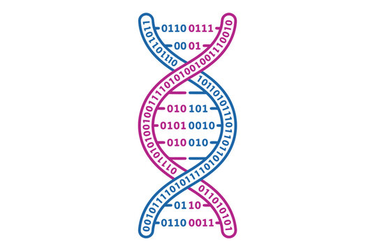 Digital dna helix structure with binary code on white background