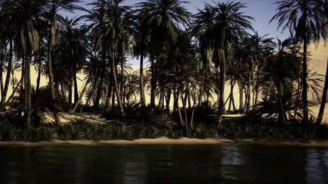 Night palms reflecting on dark water calm horizon, deep tones, silent mood, reflective surface creating contemplative vibe suitable for nighttime travel