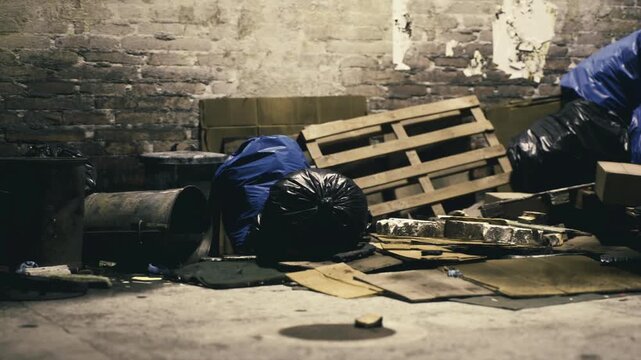 Dark refuse fills an abandoned alley, where blue bags and wooden pallets bridge the gap between chaos and neglect. The scene captures the beauty in a decaying urban landscape.