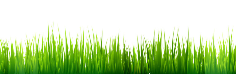 Fototapeta premium Meadow silhouette with green grass, plants on plain. Panoramic summer lawn landscape with herbs, various weeds. Herbal border, frame element. Black horizontal banners. Vector illustration