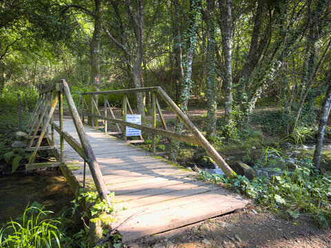 Wooden footbridge over the Uima river in a lush green forest at Passadicos do Rio Uima Santa Maria da Feira Portugal