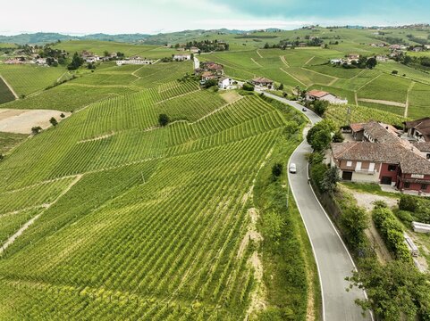 Aerial view of the rolling vineyards with a winding road and traditional stone farmhouses in Barbaresco, Piedmont, Italy.