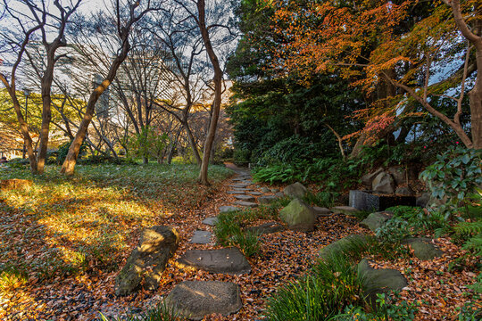 Traditional stone water basin and a stepping stone path adorned with fallen leaves at the Imperial Palace East Gardens December 2023