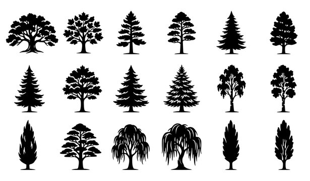 Tree Silhouette Collection Featuring Oak Pine Cypress Willow and Various Forest Tree Shapes