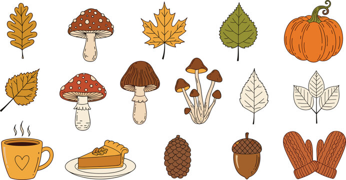 Autumn season vector icon set with fall leaves pumpkin mushrooms and cozy winter elements
