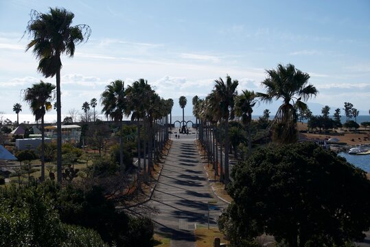 赤穂市海浜公園のヤシ並木と海へ続くプロムナード  
Palm‑lined promenade leading toward the sea at Ako Seaside Park
