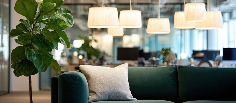 Modern green sofa and fiddle leaf fig plant in a bright office lounge
