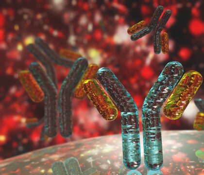 antibodies, immunoglobulins, banner
3D rendering