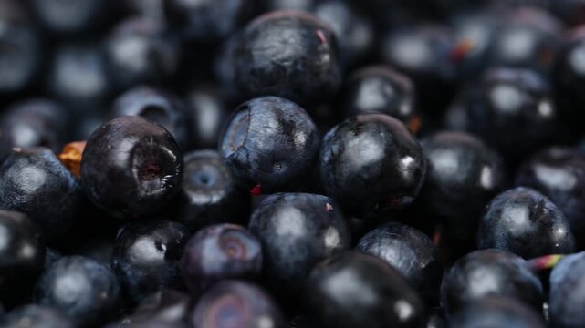 Fresh organic blueberries background.