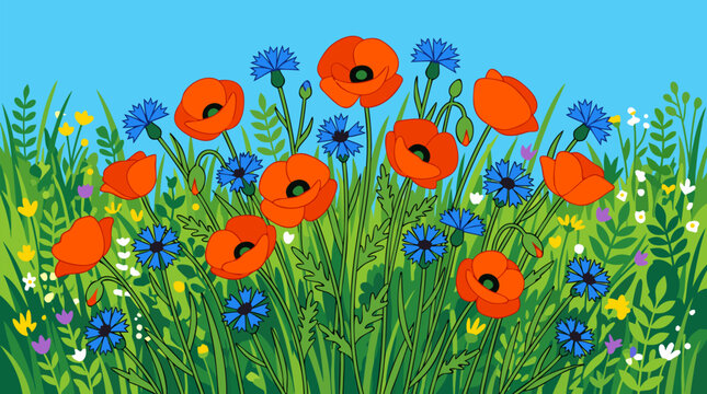 Clean flat vector illustration on a light background of bright red poppies and blue cornflowers in a lush meadow, suited for spring, gardening, or floral decor.