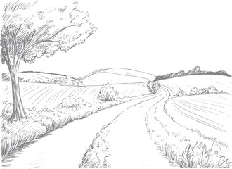 Fototapeta premium Of a winding country road through rolling hills and fields