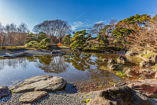 Traditional stones and beautiful pine trees reflected on the pond at Ninomaru Garden December 2023