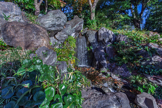 Beautiful waterfall surrounded by lush evergreen plants at Ninomaru Garden December 2023