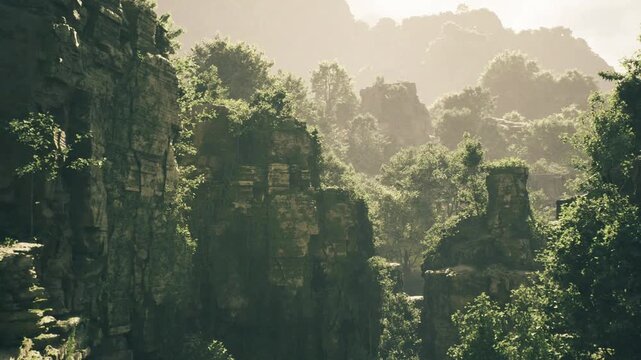 Golden haze bathing rocky reserve, soft sunfiltered canopy and distant ridgelines, warm glow highlighting mossy ledges and valley contours ideal