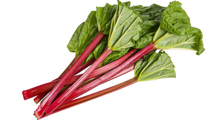Red rhubarb stalks with green leaves © Lena