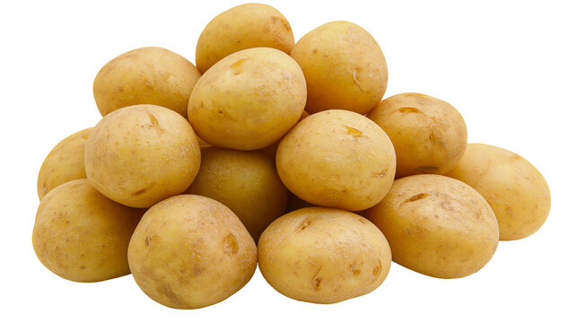 Pile of small round, yellow-skinned potatoes