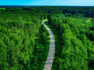 Obraz premium Winding asphalt road surrounded by vibrant green trees and clear blue sky in summer season