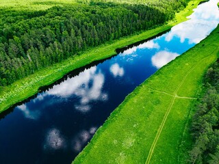 Obraz premium Riverbank with lush green foliage and reflective water under blue skies in serene landscape
