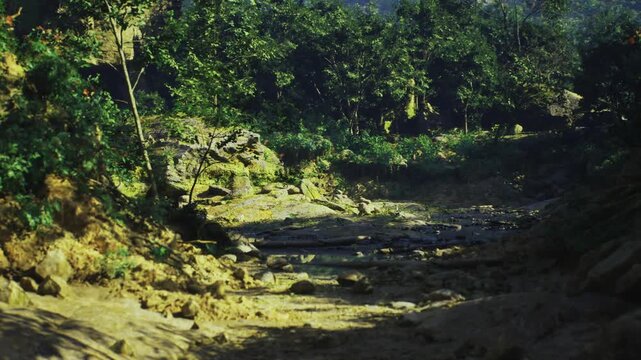 Seasonal dry stream in Indonesia used as village access route, worn rock steps, sundappled foliage, compacted sand and footprints, rural atmosphere suggesting