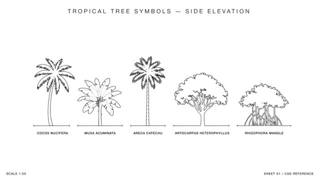 Set of four simple snowflake shapes for winter holiday design and decorations Vector