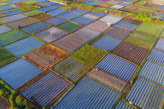 Aerial view of the colorful agricultural fields of Sembalun, featuring geometric patterns of crops, plastic-covered rows, and lush green patches in Sembalun, West Nusa Tenggara, Indonesia.