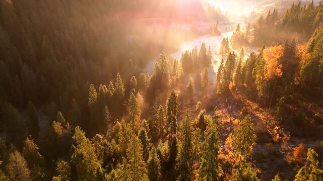 Dawn in the mountains in autumn. Sun rays break through the morning fog.