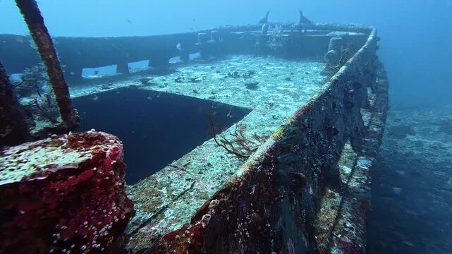 Upper deck of shipwreck, now transformed into thriving underwater habitat. Mysterious, algae-covered structure highlights unique relationship between marine environment and lost vessels