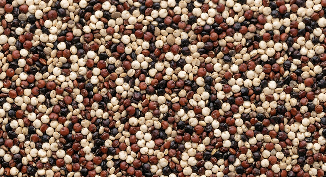Macro Texture of Raw Tricolor Quinoa Seeds in a Dense Natural Mosaic