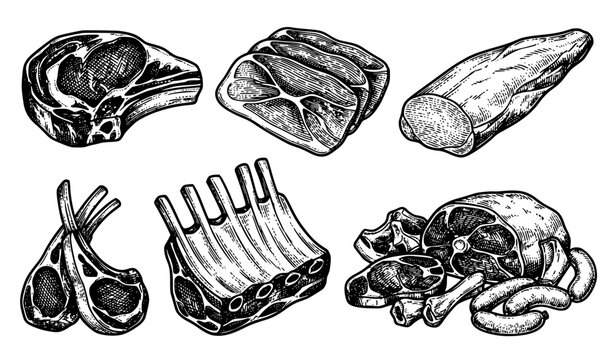 Fresh Raw Meat Collection Hand Drawn Sketch Vector Set