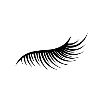 Long black eyelashes on eye.