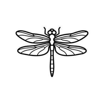 Black and white dragonfly insect drawing.