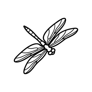 Black dragonfly with open wings flying.