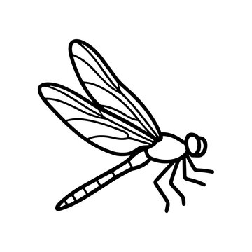 Black and white dragonfly simple drawing.