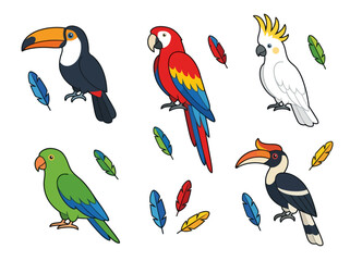 Fototapeta premium Colorful tropical birds collection including toucan parrot cockatoo and hornbill with feathers.