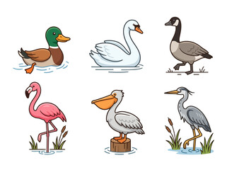 Obraz premium A collection of six hand drawn cartoon water birds including a duck swan goose flamingo pelican and heron.