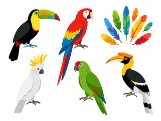 Fototapeta premium Collection of colorful tropical birds and vibrant feathers in a flat vector illustration style.