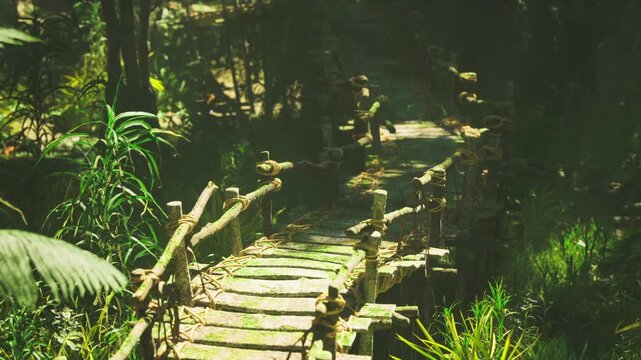 Mossy wooden trail into shadowed grove, overgrown planks and tangled roots leading toward secluded hollow, cool humid air and ancient calm.
