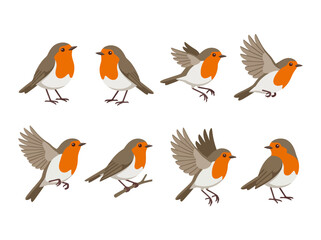 Naklejka premium A collection of cute European robin birds in various poses and flight patterns.