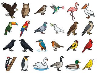 Naklejka premium A collection of various colorful bird species illustrated in a cartoon style.